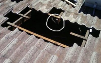 Correctly Installed Skylights are a Must